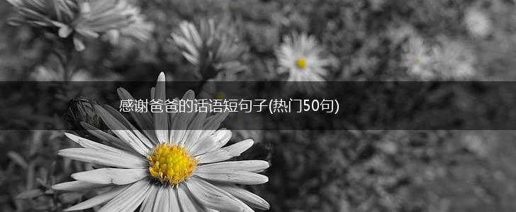 感谢爸爸的话语短句子(热门50句),第1张