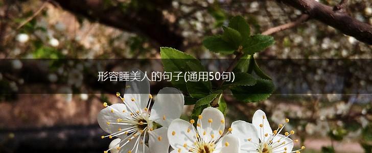 形容睡美人的句子(通用50句),第1张