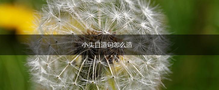 小头目造句怎么造,第1张