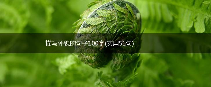 描写外貌的句子100字(实用51句),第1张