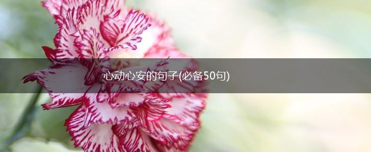 心动心安的句子(必备50句),第1张