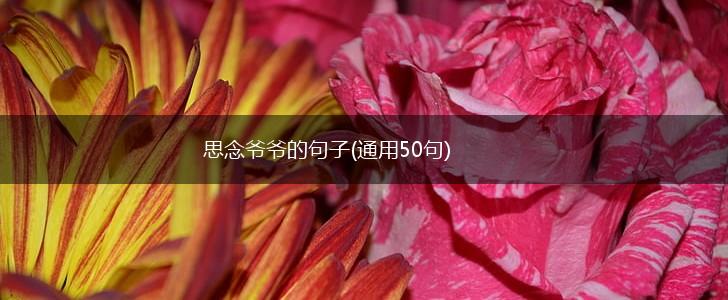 思念爷爷的句子(通用50句),第1张