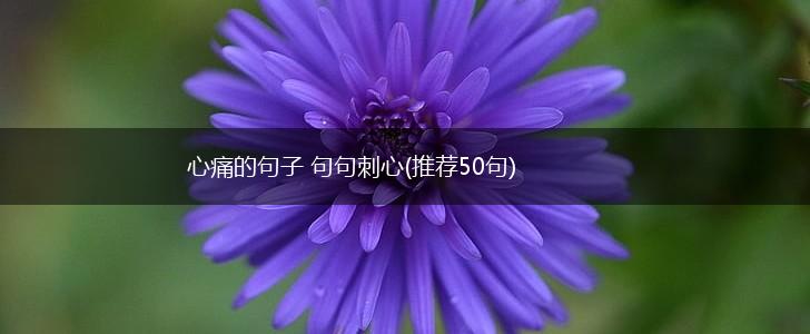 心痛的句子 句句刺心(推荐50句),第1张