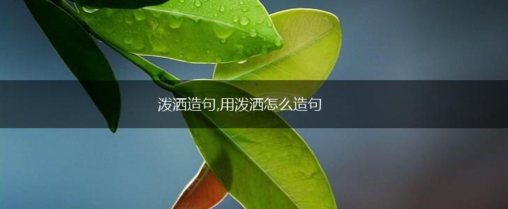 泼洒造句,用泼洒怎么造句,第1张
