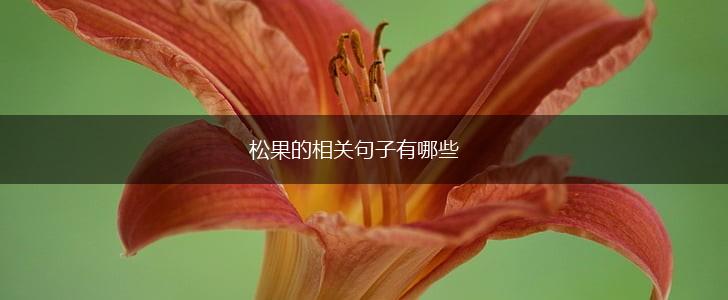 松果的相关句子有哪些,第1张