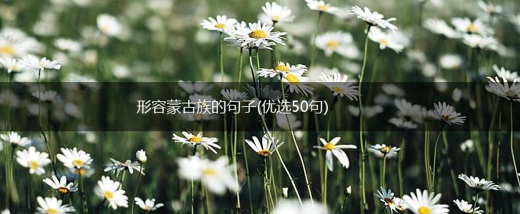 形容蒙古族的句子(优选50句),第1张
