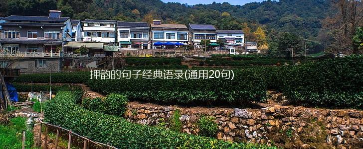 押韵的句子经典语录(通用20句),第1张