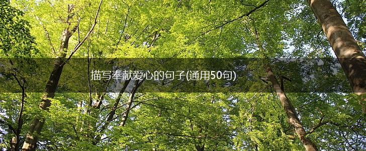 描写奉献爱心的句子(通用50句),第1张