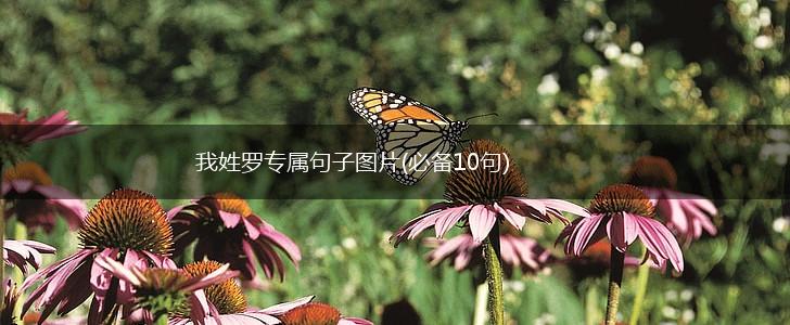 我姓罗专属句子图片(必备10句),第1张