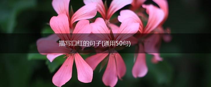 描写口红的句子(通用50句),第1张
