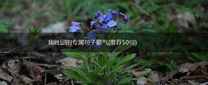 我姓邱的专属句子霸气(推荐50句),第1张