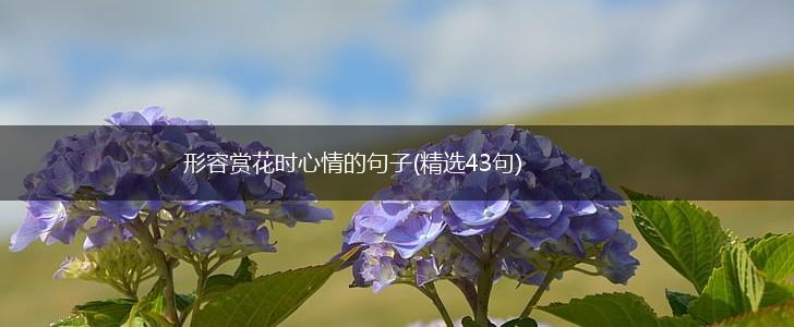 形容赏花时心情的句子(精选43句),第1张