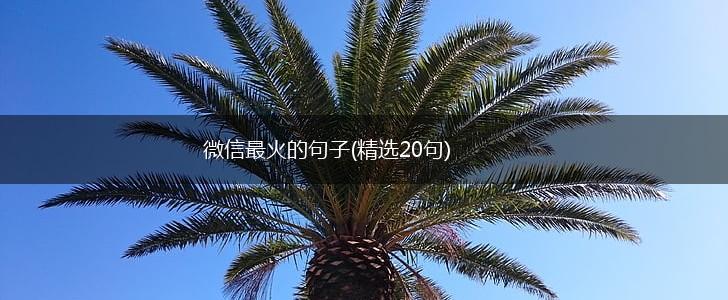 微信最火的句子(精选20句),第1张