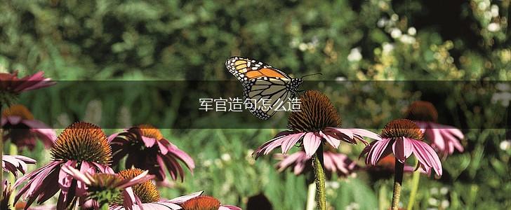 军官造句怎么造,第1张