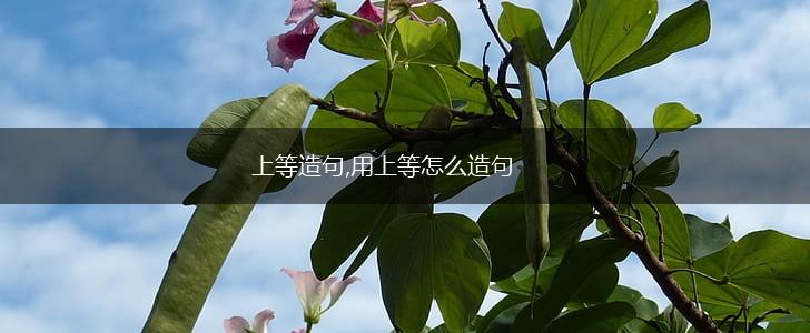 上等造句,用上等怎么造句,第1张