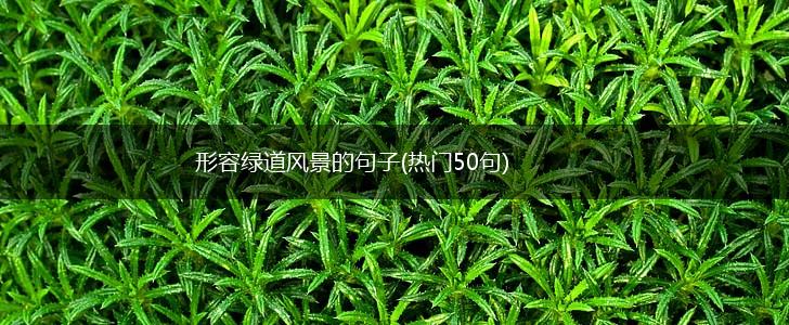 形容绿道风景的句子(热门50句),第1张