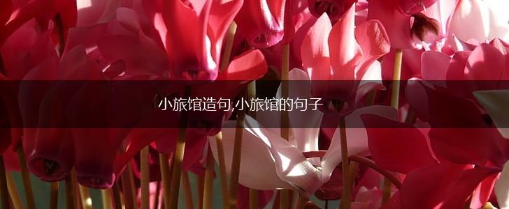 小旅馆造句,小旅馆的句子,第1张