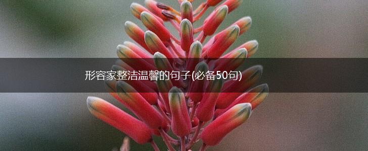 形容家整洁温馨的句子(必备50句),第1张