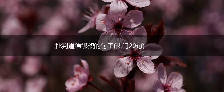 批判道德绑架的句子(热门20句),第1张