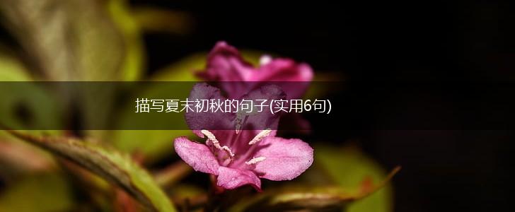 描写夏末初秋的句子(实用6句),第1张