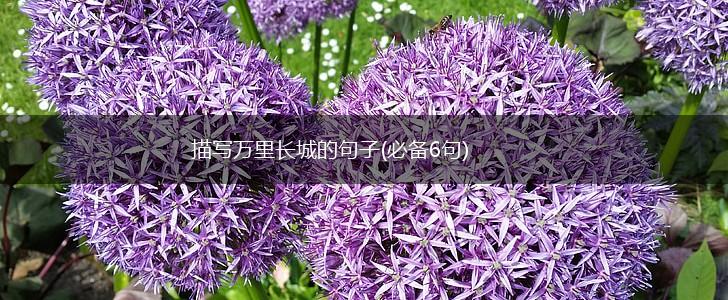 描写万里长城的句子(必备6句),第1张