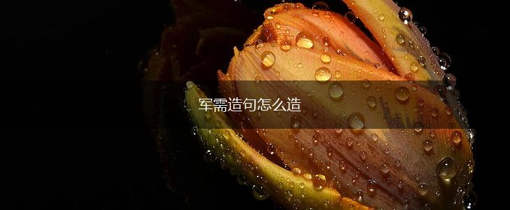 军需造句怎么造,第1张