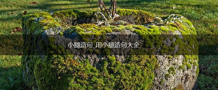 小腿造句_用小腿造句大全,第1张