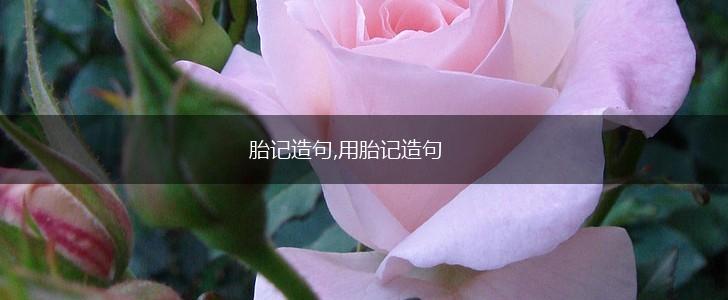 胎记造句,用胎记造句,第1张