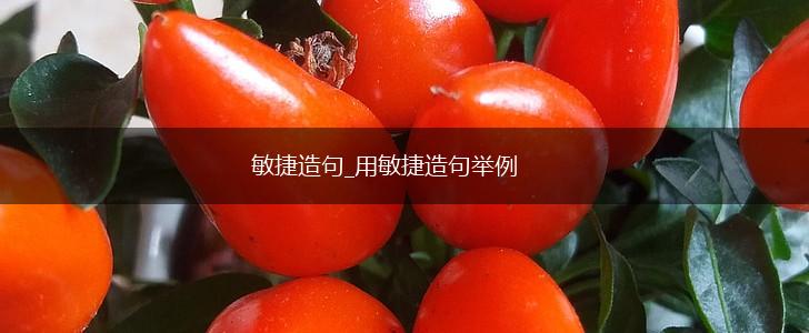 敏捷造句_用敏捷造句举例,第1张