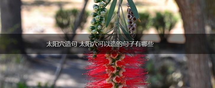 太阳穴造句 太阳穴可以造的句子有哪些,第1张