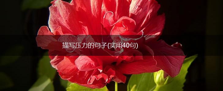 描写压力的句子(实用40句),第1张