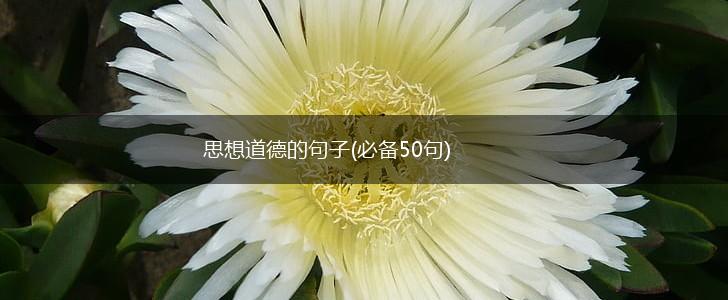 思想道德的句子(必备50句),第1张