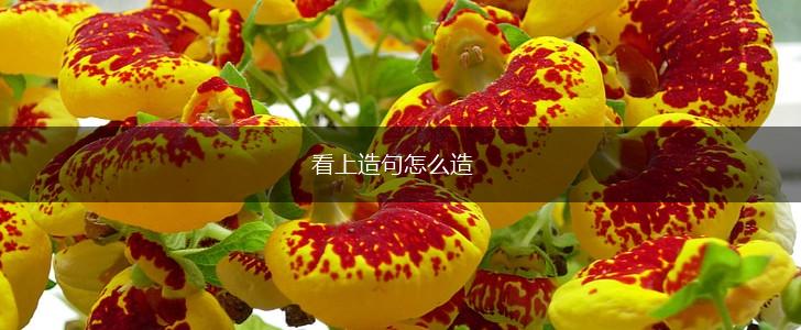 看上造句怎么造,第1张