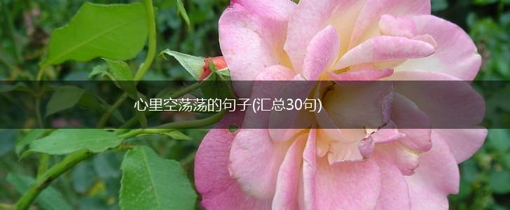 心里空荡荡的句子(汇总30句),第1张