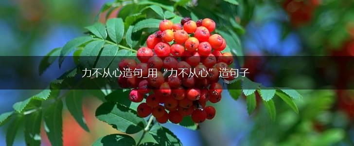 力不从心造句_用“力不从心”造句子,第1张
