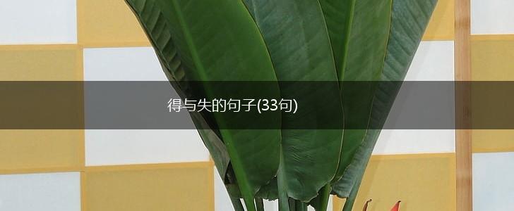 得与失的句子(33句),第1张