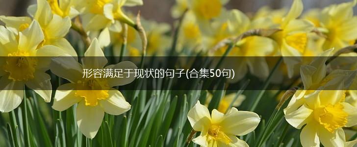 形容满足于现状的句子(合集50句),第1张