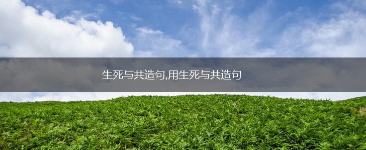 生死与共造句,用生死与共造句,第1张