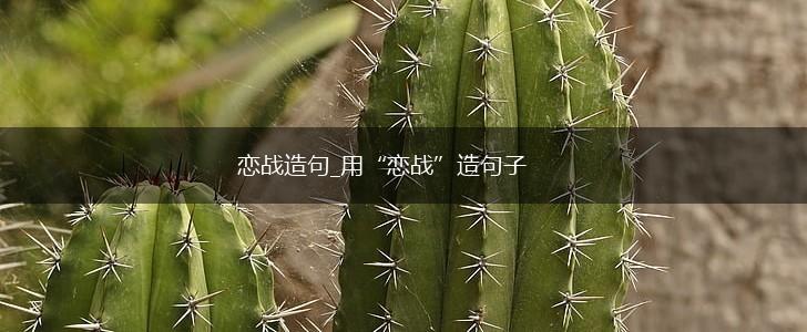 恋战造句_用“恋战”造句子,第1张