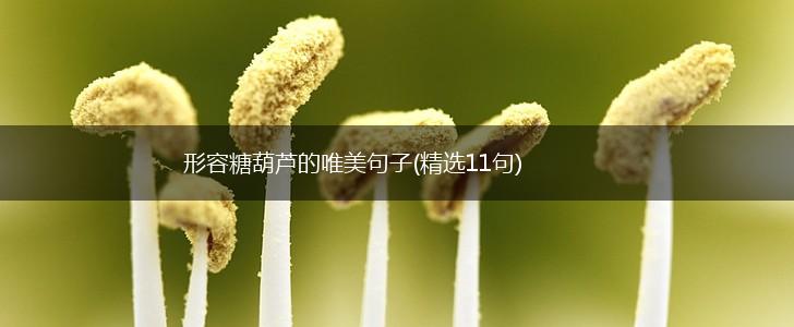 形容糖葫芦的唯美句子(精选11句),第1张