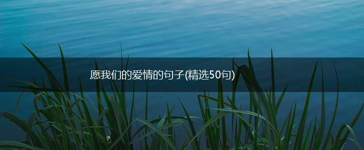 愿我们的爱情的句子(精选50句),第1张