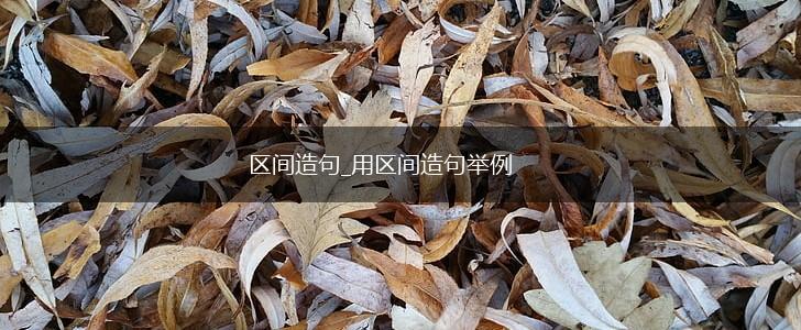 区间造句_用区间造句举例,第1张