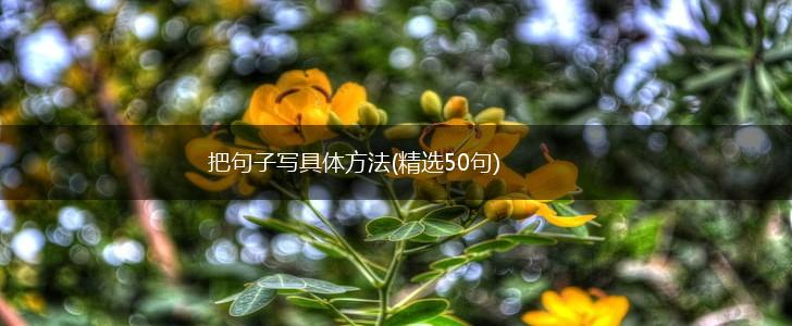 把句子写具体方法(精选50句),第1张