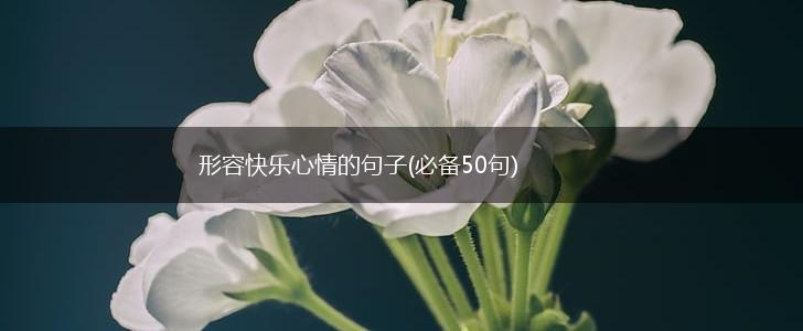 形容快乐心情的句子(必备50句),第1张