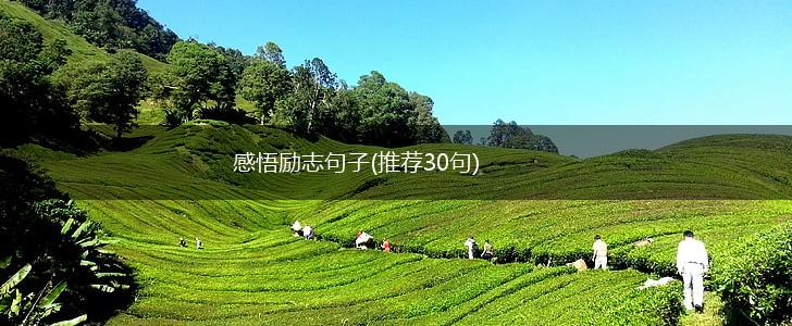 感悟励志句子(推荐30句),第1张