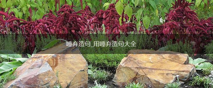 唾弃造句_用唾弃造句大全,第1张