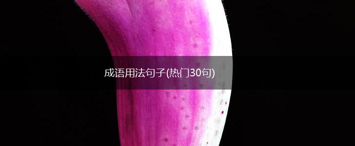 成语用法句子(热门30句),第1张