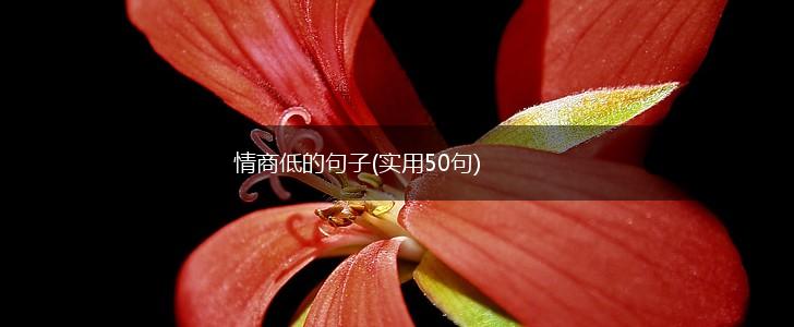 情商低的句子(实用50句),第1张