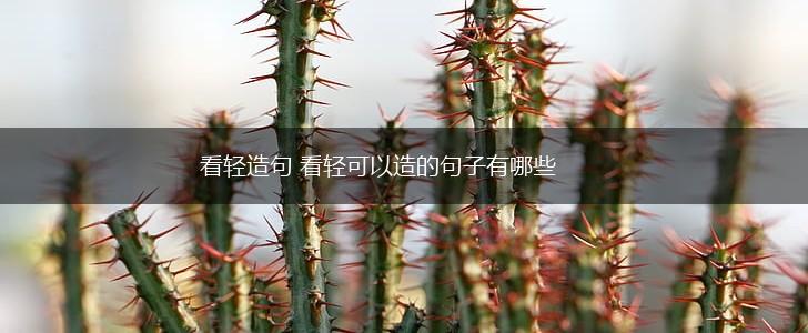 看轻造句 看轻可以造的句子有哪些,第1张
