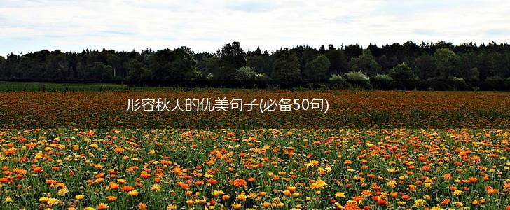 形容秋天的优美句子(必备50句),第1张